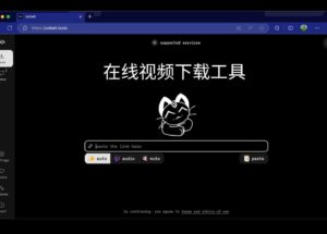 cobalt - 开源、无广告，在线视频下载工具，支持 B 站、小红书、Tiktok、VK、YouTube 等 20+ 在线视频网站[Web] 11