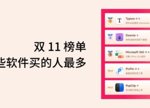 双 11 榜单，哪些软件买的人最多 12