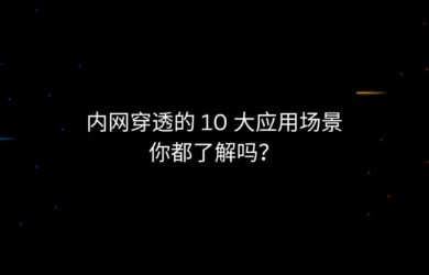 内网穿透的 10 大应用场景，你都了解吗？ 6