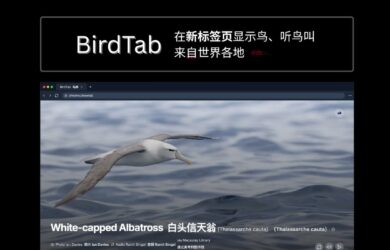 BirdTab - 鸟类爱好者狂喜：在浏览器新标签页显示鸟、听鸟叫，来自世界各地的鸟 24