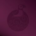 Ubuntu 25.04 Plucky Puffin 发布，提供 ARM64 镜像 36