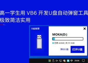高一学生用 VB6 开发U盘自动弹窗工具，极致简洁实用 11