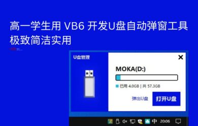 高一學生用 VB6 開發U盤自動彈窗工具，極致簡潔實用 12