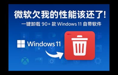 Win11Debloat - 微软欠我的性能该还了：一键卸载 90+ 款 Windows 11 预装软件 23