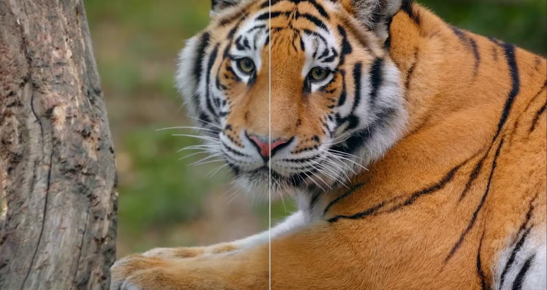 拯救渣画质视频！Aiarty Video Enhancer实测推荐，附注册码 13